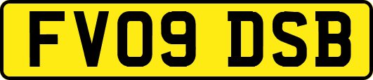 FV09DSB