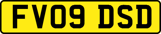 FV09DSD