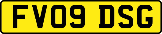 FV09DSG