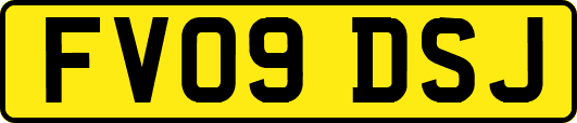 FV09DSJ