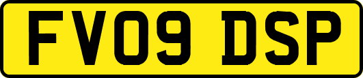 FV09DSP