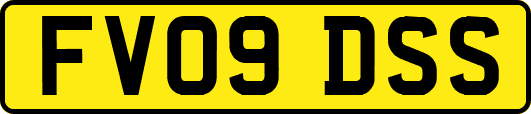 FV09DSS