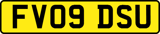 FV09DSU