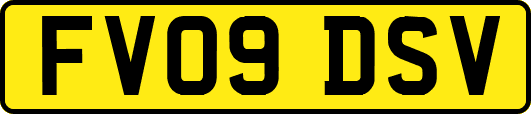 FV09DSV