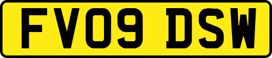 FV09DSW