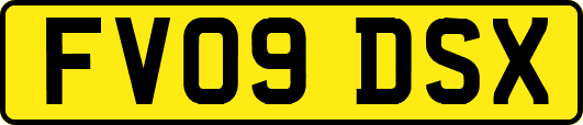 FV09DSX