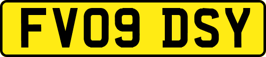 FV09DSY