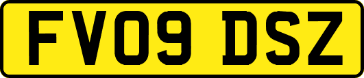 FV09DSZ