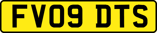 FV09DTS