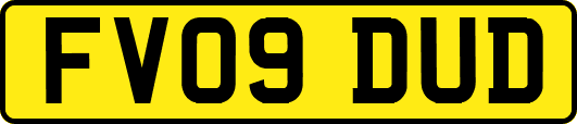 FV09DUD