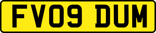 FV09DUM
