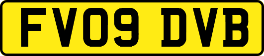 FV09DVB