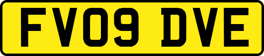 FV09DVE