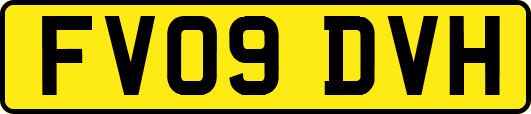 FV09DVH