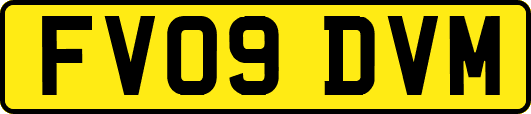 FV09DVM
