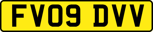 FV09DVV