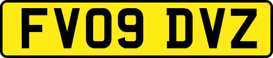 FV09DVZ