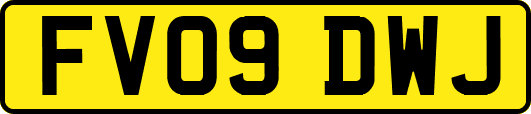 FV09DWJ