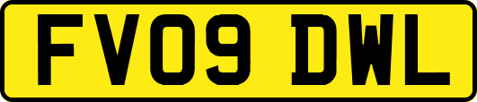FV09DWL