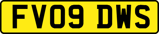 FV09DWS