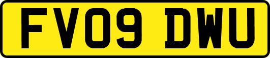FV09DWU