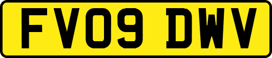 FV09DWV