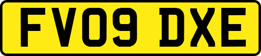 FV09DXE
