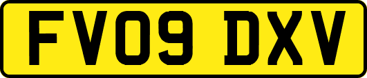 FV09DXV