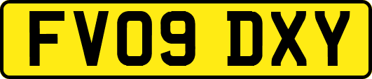 FV09DXY
