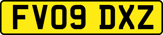 FV09DXZ
