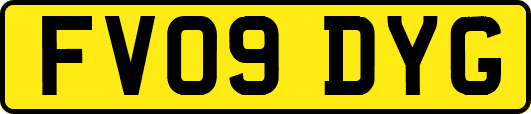 FV09DYG