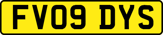 FV09DYS