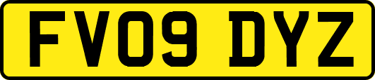 FV09DYZ