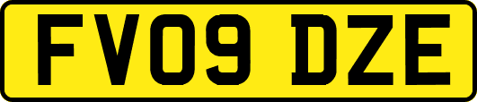 FV09DZE