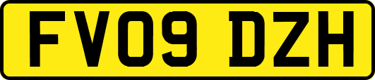 FV09DZH