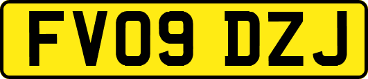 FV09DZJ