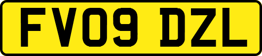 FV09DZL