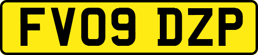 FV09DZP