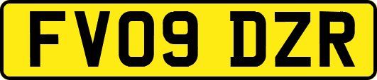 FV09DZR