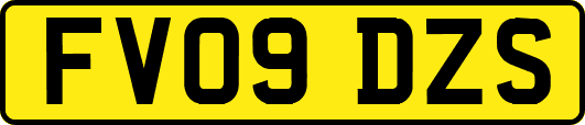 FV09DZS