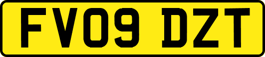 FV09DZT