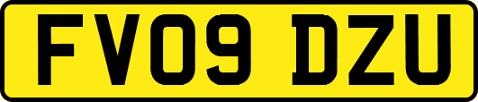 FV09DZU