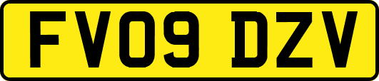 FV09DZV