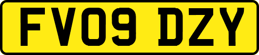 FV09DZY