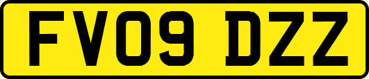 FV09DZZ