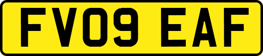 FV09EAF