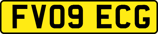 FV09ECG