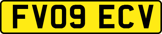 FV09ECV