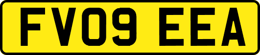FV09EEA