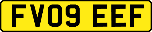 FV09EEF